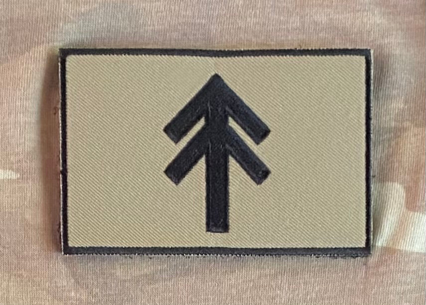 Tadpole Tactical Logo Velcro Patch
