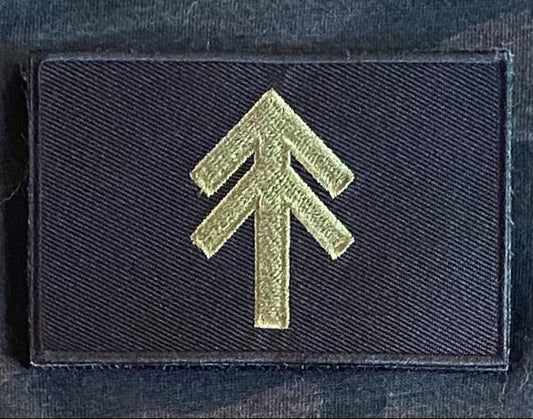 Tadpole Tactical Logo Velcro Patch